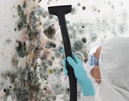 Best Biohazard Mold Removal  in Walford, IA